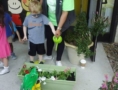 preschool_boy_watering_plant_prime_time_early_learning_centers_paramus_nj-589x450