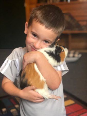 preschool_boy_with_guinea_pig_bearfoot_lodge_private_school_wylie_tx-338x450