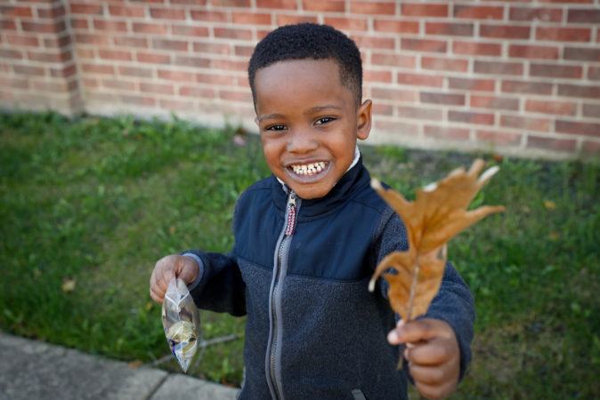 preschool_boy_with_leaf_cadence_academy_north_aurora_il-674x450