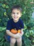 preschool_boy_with_pumpkin_phoenix_childrens_academy_private_preschool_lindsay-338x450