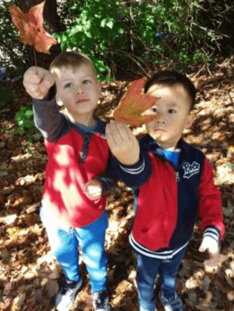 preschool_boys_examining_leaves_jonis_child_care_preschool_farmington_ct-338x450