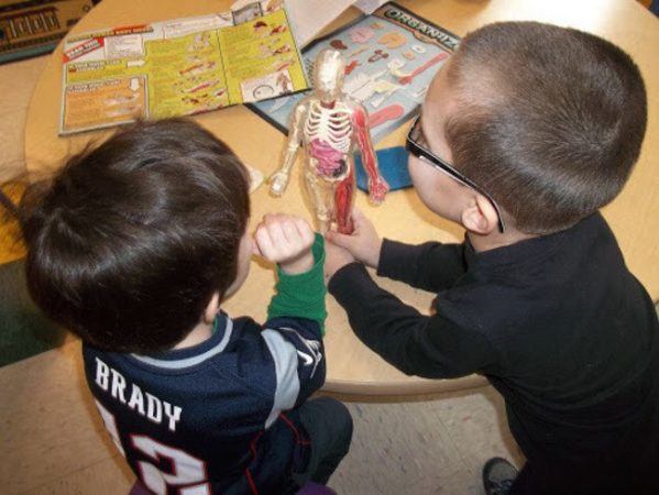 preschool_boys_looking_at_the_anatomy_of_a_human_body_cadence_academy_preschool_sherwood_or-599x450