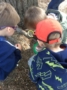 preschool_boys_looking_for_bugs_at_cadence_academy_preschool_north_attleborough_ma-336x450