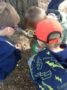 preschool_boys_looking_for_bugs_at_cadence_academy_preschool_north_attleborough_ma-336x450