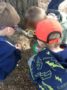 preschool_boys_looking_for_bugs_at_cadence_academy_preschool_north_attleborough_ma-336x450