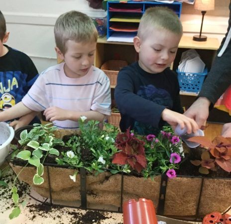 preschool_boys_planting_cadence_academy_preschool_cranston_ri-464x450