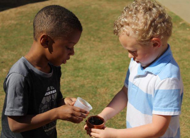 preschool_boys_watering_plant_-620x450