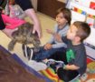 preschool_boys_with_turtle_at_cadence_academy_preschool_carmichael_ca-527x450