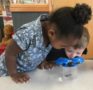 preschool_children_looking_at_lizard_sunbrook_academy_at_barnes_mill_austell_ga-466x450