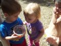 preschool_children_playing_with_ladybugs_at_phoenix_childrens_academy_private_preschool_chandler_dobson-600x450