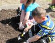 preschool_children_working_in_garden_cadence_academy_preschool_harbison_columbia_sc-567x450