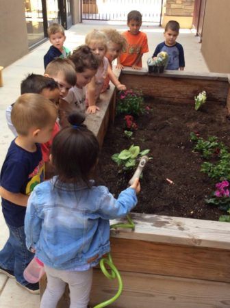 preschool_children_working_in_the_garden_phoenix_childrens_academy_private_preschool_chandler_heights-336x450