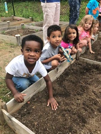 preschool_garden_sunbrook_academy_at_luella_mcdonough_ga-338x450