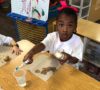 preschool_girl_brushing_a_potato_with_toothbrush_the_bridge_learning_center_carrollton_ga-498x450