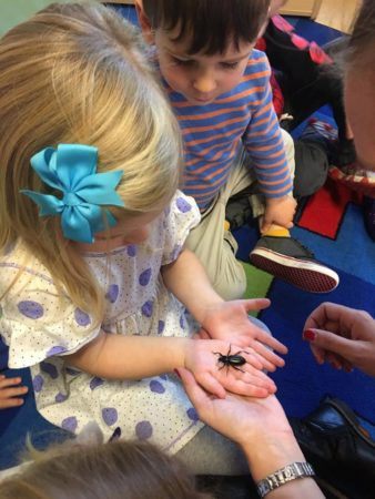 preschool_girl_holding_bug_cadence_academy_preschool_milwaukie_portland_or-338x450