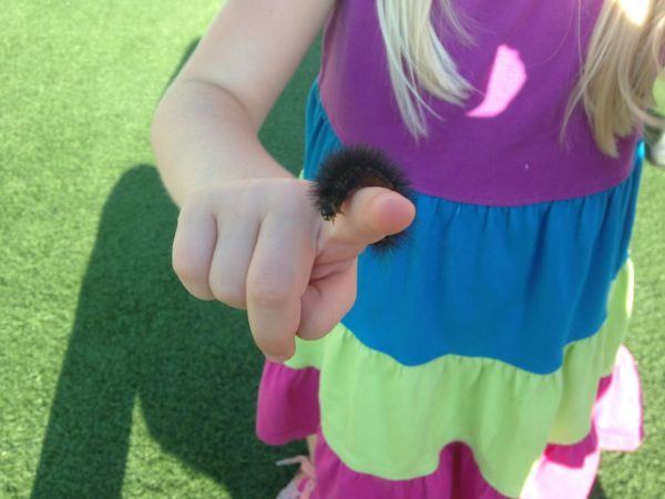 preschool_girl_holding_caterpillar_canterbury_academy_at_prairie_ridge_olathe_ks-600x450