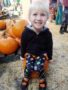 preschool_girl_in_pumpkin_patch_cadence_academy_preschool_wilmington_nc-338x450