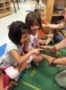 preschool_girl_petting_a_hedgehog_at_cadence_academy_preschool_broomfield_co-331x450