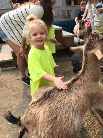 preschool_girl_petting_goat_cadence_academy_preschool_clackamas_or-338x450