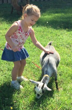 preschool_girl_petting_goat_fredericksburg_childrens_academy_fredericksburg_va-298x450