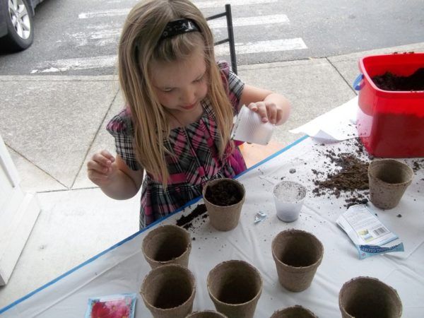 preschool_girl_planting_a_plant_cadence_academy_preschool_lacey_wa-600x450