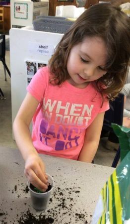 preschool_girl_planting_a_plant_cadence_academy_preschool_urbandale_ia-262x450