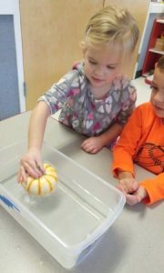 preschool_girl_playing_with_small_pumpkin_winwood_childrens_center_gainesville_va-270x450