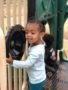 preschool_girl_playing_with_the_wheel_at_sunbrook_academy_at_bay_springs_villa_rica_ga-338x450