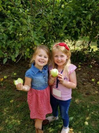 preschool_girls_eating_apples_off_the_tree_creative_kids_childcare_centers_beekman-337x450