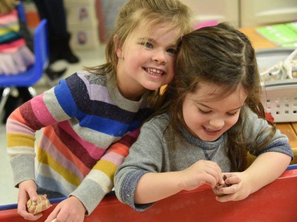 preschool_girls_having_fun_with_shells_at_next_generation_childrens_centers_walpole_ma-602x450