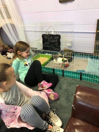 preschool_girls_watching_rabbits_cadence_academy_preschool_cranston_ri-338x450