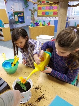 preschool_girls_watering_plant_at_next_generation_childrens_centers_marlborough_ma-338x450