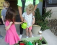 preschool_girls_watering_plant_prime_time_early_learning_centers_paramus_nj-563x450