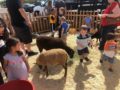 preschool_petting_zoo_at_phoenix_childrens_academy_private_preschool_surprise_az-600x450