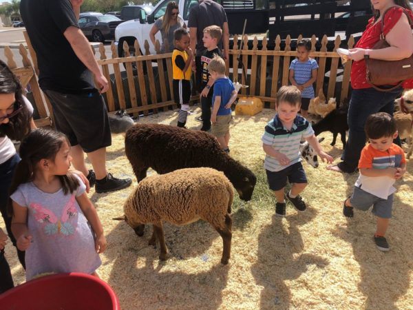 preschool_petting_zoo_at_phoenix_childrens_academy_private_preschool_surprise_az-600x450