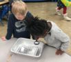 preschool_science_activity_cadence_academy_preschool_louisville_ii-515x450