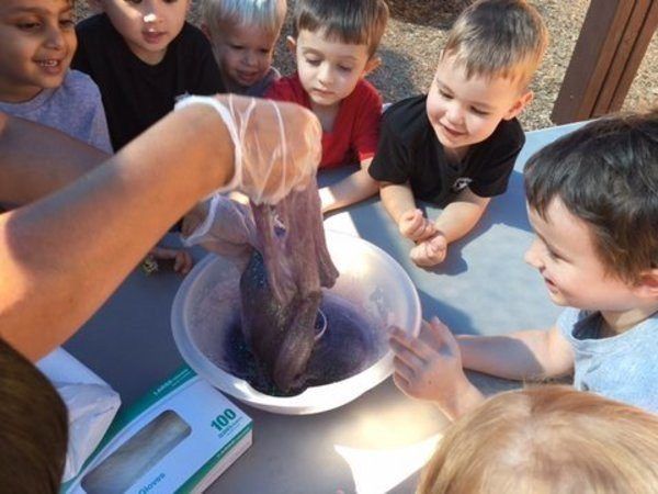 preschool_science_project_peachtree_park_prep_medlock_johns_creek_ga-600x450