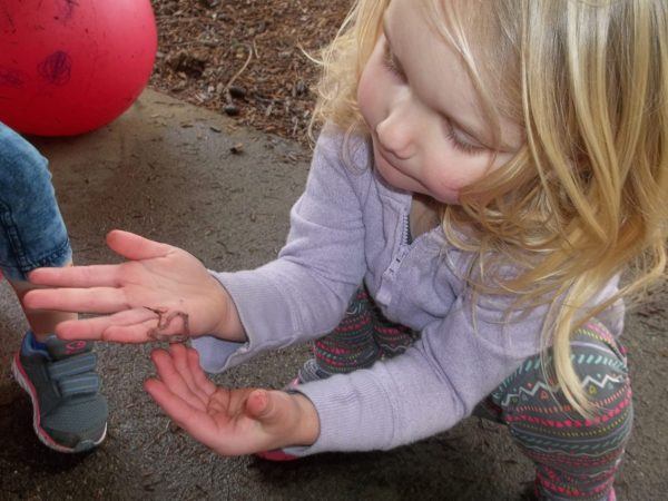 preschooler_playing_with_worm_cadence_academy_preschool_cooper_point_olympia_wa-600x450