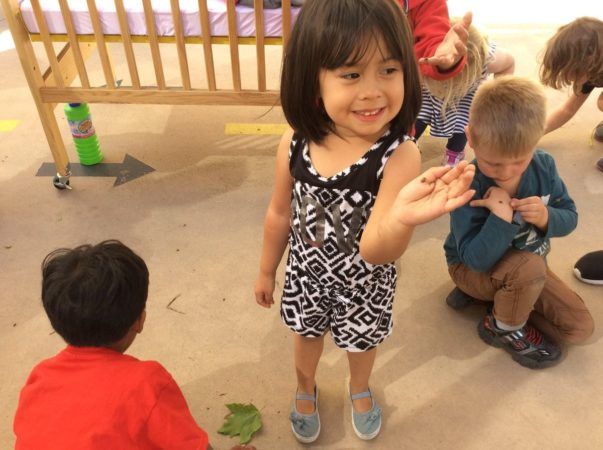 preschoolers_and_lady_bugs_at_cadence_academy_preschool_i_street_sacramento_ca-603x450