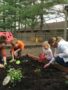 preschoolers_and_teachers_working_in_garden_cadence_academy_preschool_grand_west_des_moines_ia-338x450