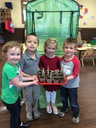 preschoolers_doing_gardening_project_at_cadence_academy_preschool_rogers_ar-336x450