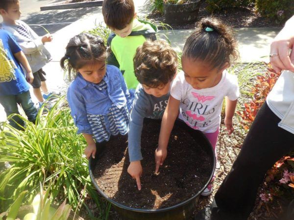 preschoolers_gardening_at_the_phoenix_schools_private_preschool_antelope_ca-600x450