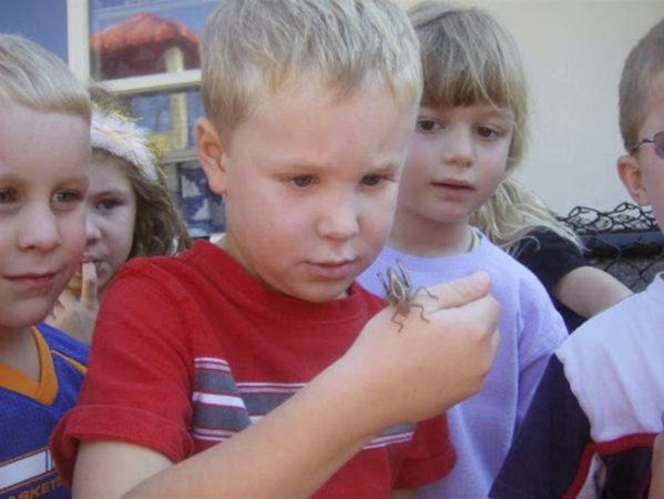 preschoolers_looking_at_bug_on_playground_sunshine_learning_centers_wiley_canyon_valencia_ca-599x450