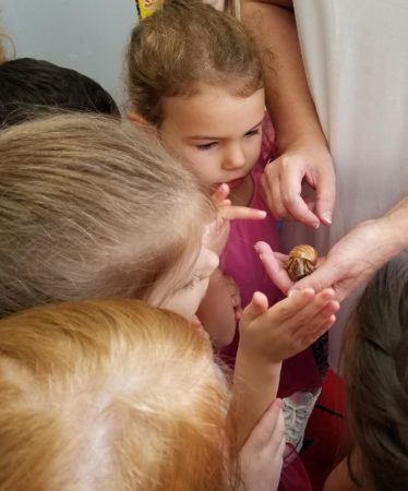 preschoolers_looking_at_hermit_crab_fredericksburg_childrens_academy_fredericksburg_va-374x450