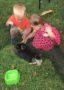 preschoolers_petting_bunny_at_cadence_academy_conshohocken_pa-321x450