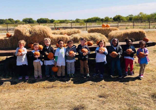 preschoolers_visiting_pumpkin_patch_from_bent_tree_child_development_center_addison_tx-640x450