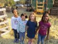 school_age_field_trip_at_cadence_academy_preschool_prairie_city_folsom_ca-600x450