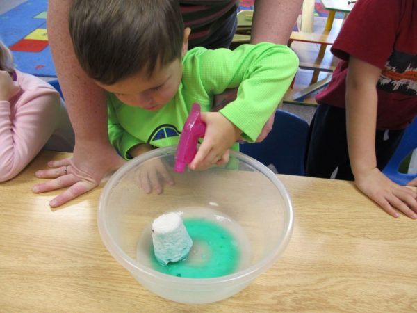 science_activity_cadence_academy_preschool_louisville_ky-600x450