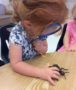 science_bug_investigation_phoenix_childrens_academy_private_preschool_union_hills-380x450