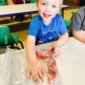 strawberry_snack_rogys_learning_place_morton_il-450x450